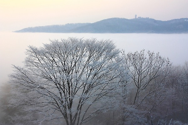 포토 JPG 주간 나무 설경 자연 산 풍경 사람없음 야외 눈 운해 남한산성 겨울풍경 국내포토 광주시 자연요소 식물 겨울 날씨 생태계 경기도 파일형식 구름_자연