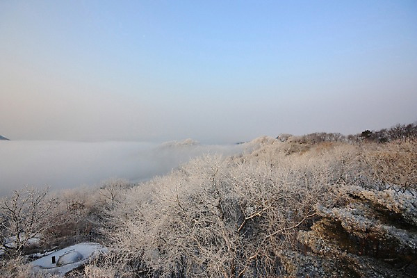 포토 JPG 주간 나무 구름 설경 자연 하늘 풍경 사람없음 야외 눈 남한산성 겨울풍경 국내포토 광주시 자연요소 식물 겨울 날씨 생태계 경기도 파일형식