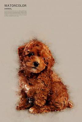 PSD 한마리 일러스트 수채화 사람없음 강아지 푸들 번짐 국내일러스트 1 반려동물 개 파일형식 효과