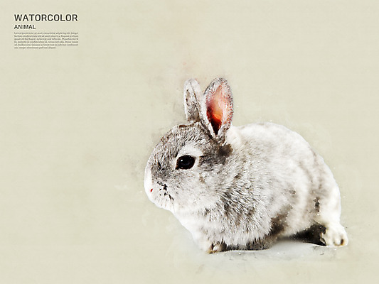 PSD 한마리 일러스트 수채화 사람없음 토끼 번짐 국내일러스트 1 포유류 반려동물 파일형식 효과