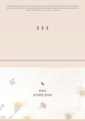 템플릿 명절 꽃무늬 카드템플릿 사람없음 추석 감사카드 이미지템플릿 AI파일 전통 기념일 꽃 무늬 카드_감사 파일형식 벡터