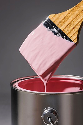 포토 JPG 분홍색 사람없음 인테리어 페인트 페인트붓 DIY 셀프 국내포토 디자인 컬러 취미 붓 파일형식