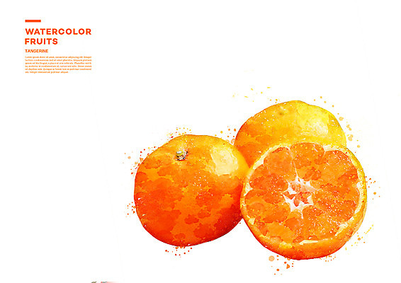 PSD 과일 일러스트 단면 수채화 귤 사람없음 번짐 국내일러스트 파일형식 효과
