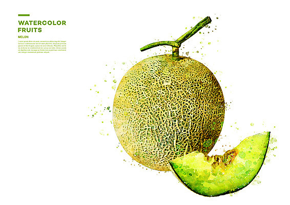 PSD 과일 일러스트 수채화 사람없음 멜론 번짐 국내일러스트 파일형식 효과