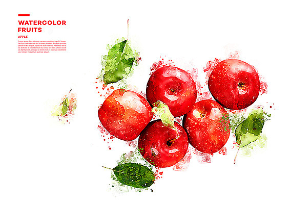 PSD 과일 일러스트 나뭇잎 수채화 사람없음 사과 번짐 국내일러스트 잎 파일형식 효과