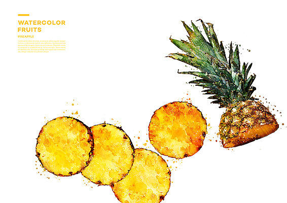 PSD 과일 일러스트 단면 수채화 사람없음 파인애플 번짐 국내일러스트 열대과일 파일형식 효과