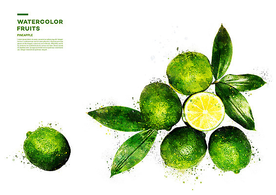 PSD 과일 일러스트 단면 나뭇잎 수채화 사람없음 번짐 라임 국내일러스트 잎 파일형식 효과