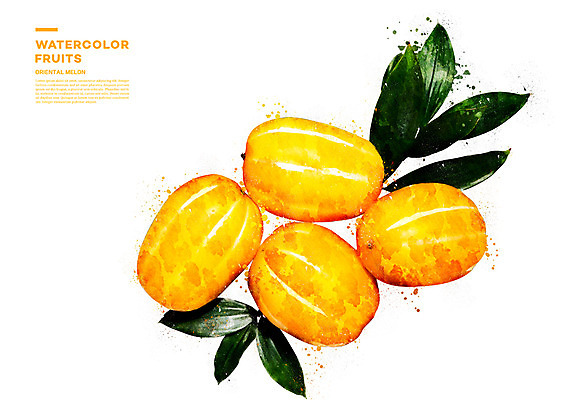 PSD 과일 일러스트 나뭇잎 수채화 사람없음 번짐 참외 과채 국내일러스트 잎 채소 파일형식 효과