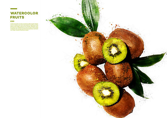 PSD 과일 일러스트 단면 나뭇잎 수채화 키위 사람없음 번짐 국내일러스트 잎 파일형식 효과