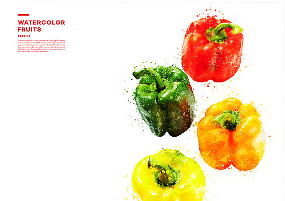 PSD 채소 일러스트 수채화 파프리카 사람없음 번짐 국내일러스트 파일형식 효과