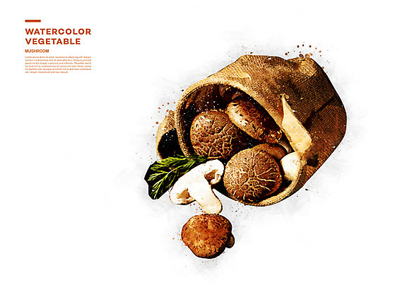 PSD 채소 일러스트 단면 수채화 사람없음 버섯 번짐 자루 국내일러스트 파일형식 효과