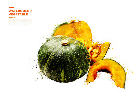 PSD 채소 일러스트 단면 수채화 사람없음 번짐 단호박 국내일러스트 호박 파일형식 효과