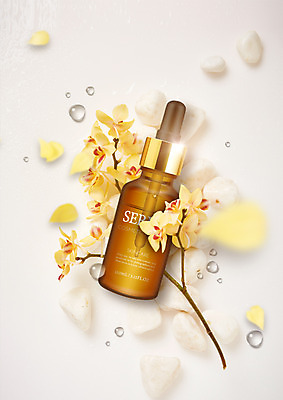 PSD 편집 편집이미지 꽃 사람없음 뷰티 화장품 조약돌 물방울 나뭇가지 에센스 세럼 이미지편집 나무 식물 돌_바위 파일형식