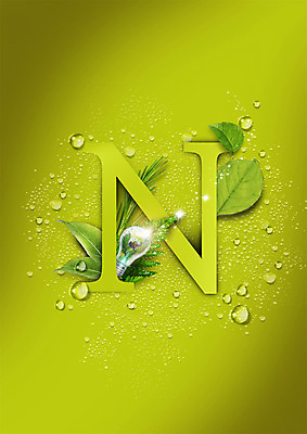 PSD 편집 편집이미지 알파벳 전구 자연 나뭇잎 사람없음 초록색 환경 물방울 N 이미지편집 영어 컬러 잎 생태계 파일형식