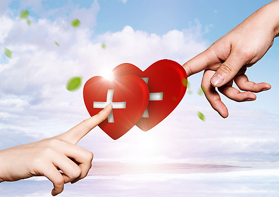 PSD 구름 편집 편집이미지 손 하늘 나뭇잎 한손 희망프로젝트 두명 신체부위 하트 헌혈 십자 이미지편집 자연요소 모양 캠페인 컨셉 잎 사람 봉사 파일형식