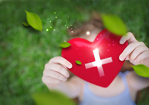 PSD 편집 편집이미지 손 여자 나뭇잎 희망프로젝트 한명 상반신 신체부위 눕기 양손 하트 헌혈 십자 이미지편집 모양 1 캠페인 컨셉 잎 모션 사람 봉사 파일형식