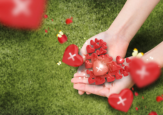 PSD 편집 편집이미지 손 나비 희망프로젝트 한명 잔디 신체부위 양손 하트 헌혈 십자 이미지편집 모양 식물 1 캠페인 곤충 컨셉 사람 봉사 파일형식