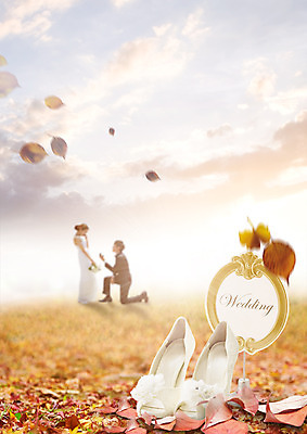 전신 PSD 구름 편집 편집이미지 커플 여자 남자 결혼 낙엽 하늘 서기 20대 성인 두명 노을 한국인 가을 하이힐 무릎꿇기 성인만 이미지편집 자연요소 계절 구두 잎 관계 모션 사람 동양인 이벤트 청년 여성화 파일형식