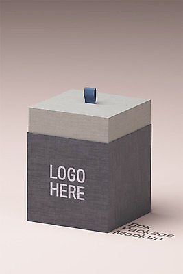 PSD 편집 편집이미지 사람없음 상자 3D 회색 상품 디지털합성 패키지 목업 편집3D 컬러 파일형식