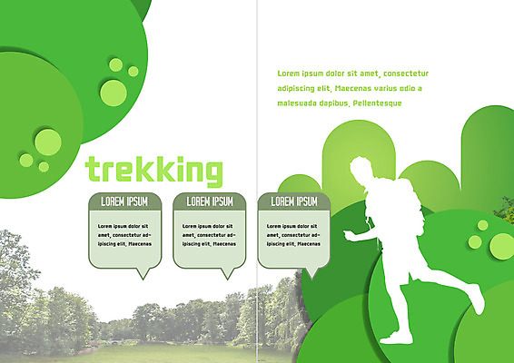 PSD 나무 템플릿 표지디자인 북디자인 출판디자인 실루엣 내지 리플렛 여행 말풍선 북커버 팜플렛 트래킹 숲 이미지템플릿 식물 레저 촬영기법 파일형식