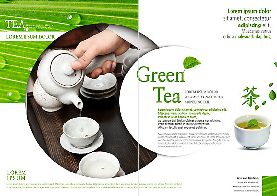 PSD 템플릿 표지디자인 북디자인 손 출판디자인 내지 리플렛 북커버 팜플렛 신체부위 한자 물방울 붓기 찻잔 다기 찻주전자 녹차 찻잎 이미지템플릿 문자 모션 주전자 잔 사람 차_음료 다도 파일형식