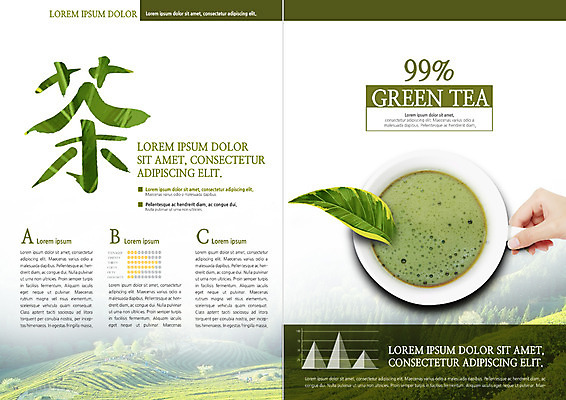 PSD 템플릿 표지디자인 북디자인 손 출판디자인 내지 리플렛 북커버 그래프 한손 한명 팜플렛 신체부위 한자 찻잔 녹차 녹차밭 찻잎 이미지템플릿 문자 1 밭 잔 사람 차_음료 파일형식