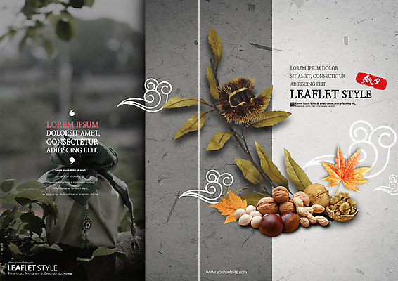 PSD 템플릿 표지디자인 북디자인 출판디자인 표지 리플렛 단풍 북커버 나뭇잎 팜플렛 사람없음 추석 견과류 가을 보자기 밤 땅콩 호두 추석선물 은행열매 이미지템플릿 계절 명절 열매 잎 선물 파일형식 천_직물 명절선물