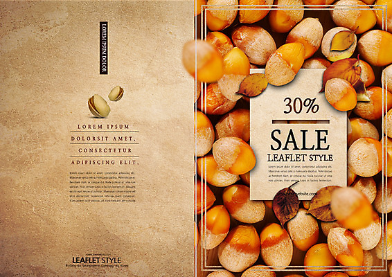 PSD 템플릿 표지디자인 북디자인 출판디자인 표지 리플렛 낙엽 북커버 이벤트 팜플렛 사람없음 세일 견과류 도토리 이미지템플릿 잎 파일형식