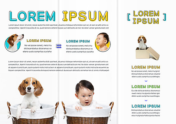 템플릿 편집 표지디자인 북디자인 출판디자인 남자 내지 리플렛 북커버 3단접지 세마리 팜플렛 두명 상자 바구니 한국인 아기 비글 반려 이미지템플릿 AI파일 3 사람 동양인 개 파일형식 벡터