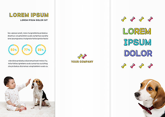 템플릿 편집 표지디자인 북디자인 출판디자인 표지 남자 리플렛 두마리 북커버 3단접지 그래프 한명 앉기 팜플렛 한국인 아기 비글 개뼈다귀 반려 이미지템플릿 AI파일 1 2 모션 사람 동양인 개 애견간식 파일형식 벡터