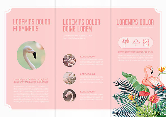 동물 템플릿 편집 표지디자인 북디자인 출판디자인 내지 야생동물 리플렛 북커버 여러마리 3단접지 자연 나뭇잎 팜플렛 사람없음 야자수 트로피컬아트 이미지템플릿 AI파일 나무 다수 잎 그림 생태계 파일형식 벡터