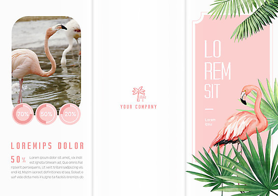 동물 템플릿 편집 표지디자인 북디자인 출판디자인 표지 호수 리플렛 북커버 3단접지 자연 그래프 나뭇잎 팜플렛 사람없음 야자수 플라밍고 트로피컬아트 이미지템플릿 AI파일 나무 잎 조류 그림 생태계 파일형식 벡터