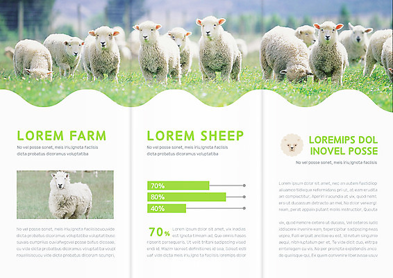 동물 템플릿 편집 표지디자인 북디자인 출판디자인 내지 리플렛 북커버 여러마리 3단접지 자연 그래프 팜플렛 사람없음 가축 목장 양 이미지템플릿 AI파일 다수 포유류 생태계 파일형식 벡터