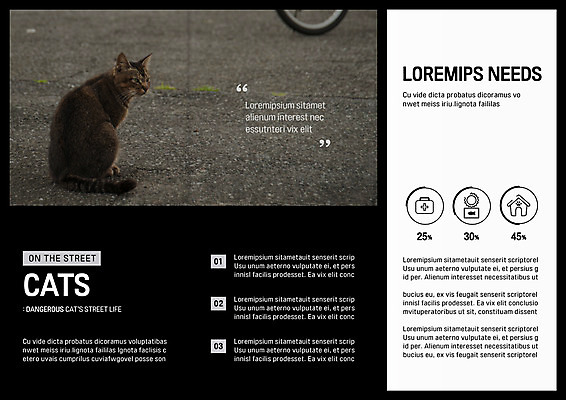 동물 템플릿 편집 한마리 표지디자인 북디자인 출판디자인 내지 리플렛 북커버 3단접지 그래프 팜플렛 사람없음 반려동물 고양이 구급상자 길고양이 반려 이미지템플릿 AI파일 1 포유류 의료용품 파일형식 벡터