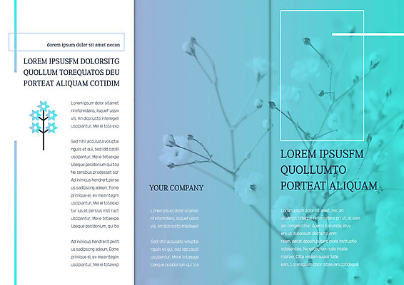 템플릿 편집 표지디자인 북디자인 출판디자인 표지 리플렛 북커버 3단접지 자연 팜플렛 사람없음 안개꽃 이미지템플릿 AI파일 꽃 생태계 한해살이풀 파일형식 벡터