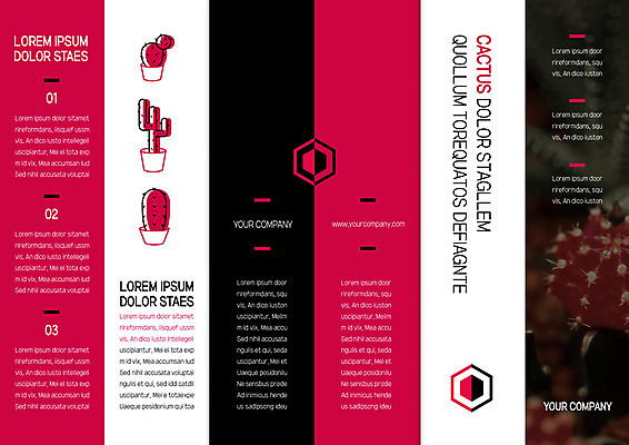 템플릿 편집 표지디자인 북디자인 출판디자인 표지 화분 리플렛 북커버 3단접지 자연 선인장 팜플렛 사람없음 이미지템플릿 AI파일 식물 생태계 파일형식 벡터