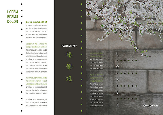 템플릿 편집 표지디자인 북디자인 출판디자인 표지 리플렛 북커버 3단접지 자연 팜플렛 사람없음 담장 봄 벚꽃 나뭇가지 이미지템플릿 AI파일 나무 계절 꽃 생태계 파일형식 벡터