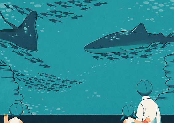 PSD 여자 남자 문화 어린이 일러스트 어류 상반신 성인 세명 상어 수족관 아쿠아리움 문화생활 국내일러스트 라이프스타일 사람 수중동물 파일형식