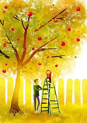 전신 PSD 남자 아들 일러스트 사다리 가족 풍경 초원 성인 두명 축제 가을 아빠 사과나무 국내일러스트 나무 계절 관계 사람 도구 사과 파일형식