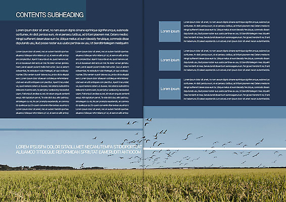 템플릿 표지디자인 북디자인 출판디자인 내지 리플렛 북커버 자연 조류 논 팜플렛 사람없음 농경지 가을 이미지템플릿 AI파일 동물 계절 농업 농장 생태계 파일형식 벡터