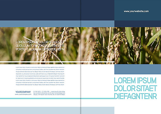 템플릿 표지디자인 북디자인 출판디자인 표지 리플렛 북커버 자연 팜플렛 사람없음 벼 가을 이삭 이미지템플릿 AI파일 계절 곡류 생태계 파일형식 벡터