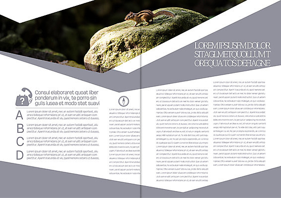 템플릿 한마리 표지디자인 북디자인 출판디자인 내지 야생동물 리플렛 북커버 자연 팜플렛 사람없음 물음표 바위 전화기 다람쥐 이미지템플릿 AI파일 동물 1 기호 돌_바위 설치류 생태계 파일형식 벡터