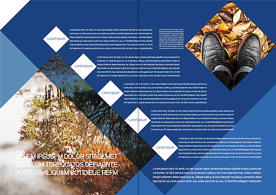 나무 템플릿 표지디자인 북디자인 출판디자인 내지 리플렛 신발 낙엽 북커버 발 자연 물그림자 팜플렛 가을 웅덩이 이미지템플릿 AI파일 식물 계절 잎 그림자 신체부위 생태계 파일형식 벡터