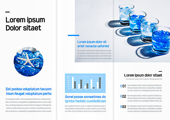 템플릿 표지디자인 북디자인 출판디자인 내지 리플렛 북커버 3단접지 자연 그래프 잔 불가사리 팜플렛 사람없음 여름 얼음 이미지템플릿 AI파일 자연요소 식기 계절 극피동물 생태계 파일형식 벡터