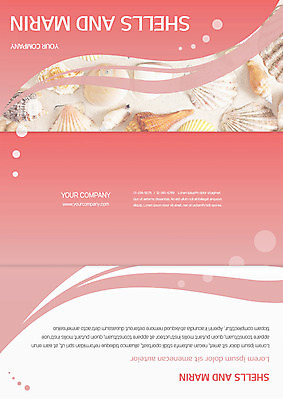 템플릿 표지디자인 북디자인 출판디자인 표지 리플렛 북커버 3단접지 자연 조개 팜플렛 사람없음 소라 이미지템플릿 AI파일 어패류 생태계 파일형식 벡터