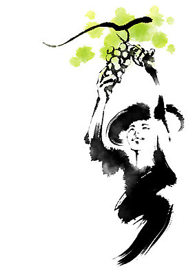 PSD 여자 일러스트 캘리그라피 포도 붓터치 한명 상반신 성인 농사 수확 농부 밀짚모자 국내일러스트 직업 모자_잡화 1 농업 과일 사람 파일형식