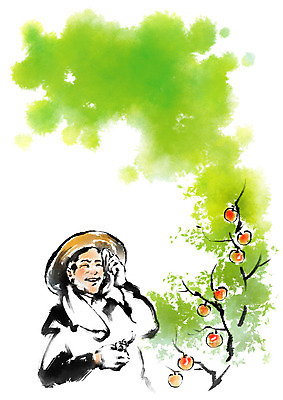 PSD 나무 남자 과일 일러스트 캘리그라피 한명 상반신 성인 수건 수확 농부 밀짚모자 땀흘리기 국내일러스트 식물 직업 모자_잡화 1 컨셉 농업 사람 위생용품 파일형식