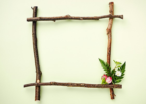 포토 JPG 스튜디오촬영 식물 꽃 백그라운드 프레임 국화 사람없음 장미 나뭇가지 내추럴 국내포토 나무 실내 파일형식