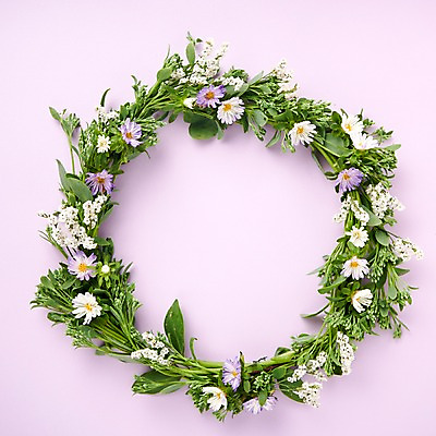 포토 JPG 스튜디오촬영 식물 백그라운드 프레임 국화 사람없음 화관 꽃프레임 내추럴 국내포토 꽃 실내 파일형식