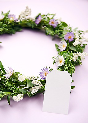 포토 JPG 스튜디오촬영 식물 종이 백그라운드 프레임 국화 사람없음 아웃포커스 화관 꽃프레임 내추럴 국내포토 꽃 촬영기법 실내 파일형식